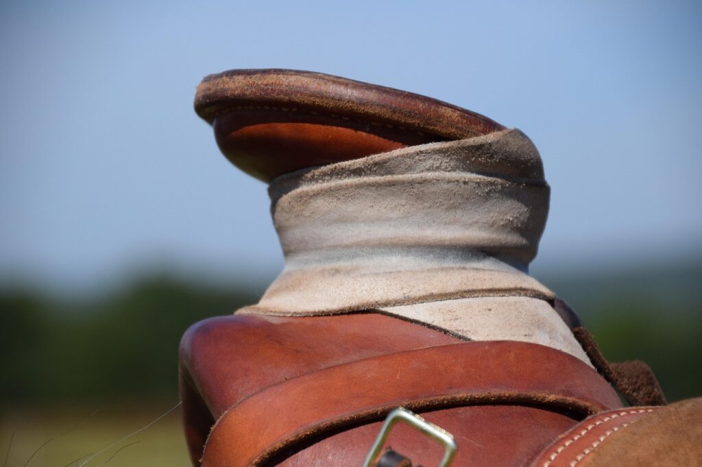 g01cb9eff3928a063888f62cdbd42f64cf9191d8bebeb121c26fdf6e9564aae6edda1ae7677db12e732f0431da346f43e70bae57ddf51c862d908e2163c573ef1_1280-4544495 saddle, horn, nature, cowboy, horse, equine, western, leather, ranch, rope, wade, dally, rancher, usa, west, trainer, livestock, outdoors